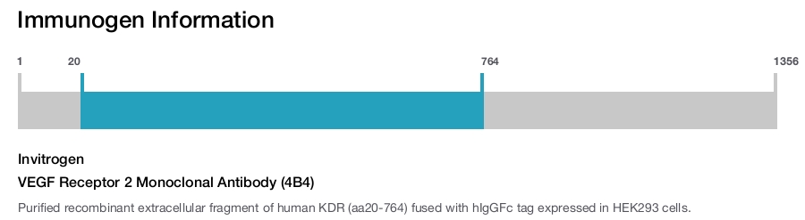VEGF Receptor 2 Monoclonal Antibody (4B4)