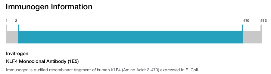 KLF4 Monoclonal Antibody (1E5)