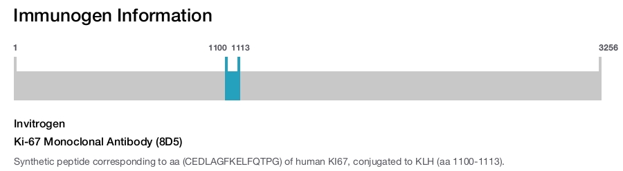 Ki-67 Monoclonal Antibody (8D5)