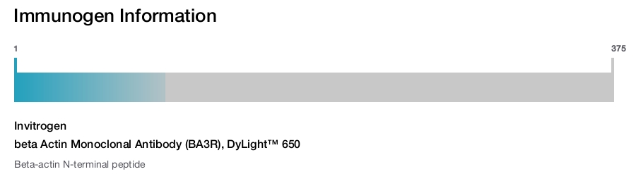 beta Actin Monoclonal Antibody (BA3R), DyLight™ 650