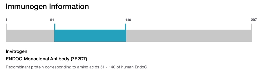 ENDOG Monoclonal Antibody (7F2D7)