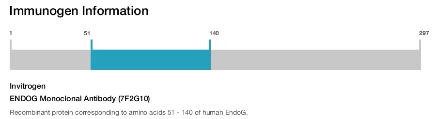 ENDOG Monoclonal Antibody (7F2G10)