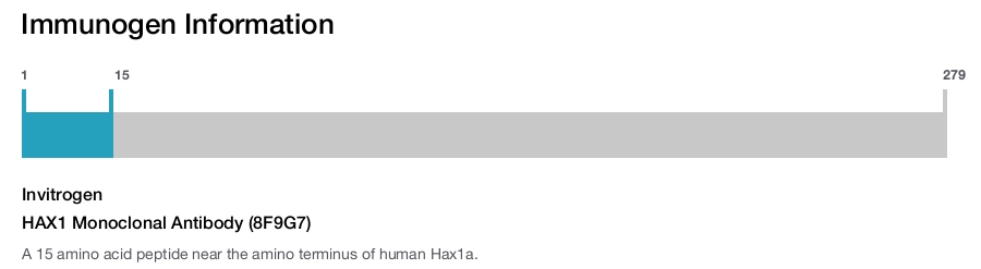 HAX1 Monoclonal Antibody (8F9G7)
