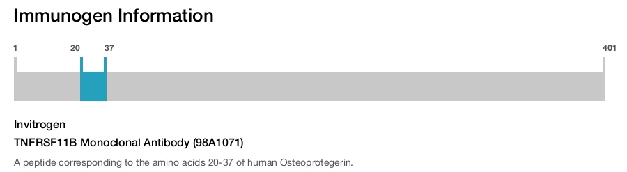 TNFRSF11B Monoclonal Antibody (98A1071)
