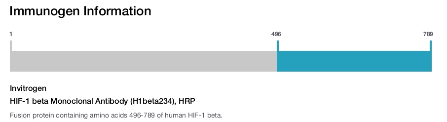 HIF-1 beta Monoclonal Antibody (H1beta234), HRP