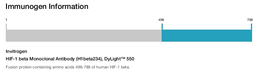 HIF-1 beta Monoclonal Antibody (H1beta234), DyLight™ 550