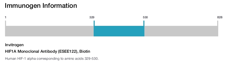 HIF1A Monoclonal Antibody (ESEE122), Biotin