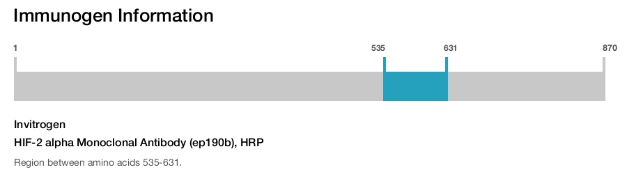 HIF-2 alpha Monoclonal Antibody (ep190b), HRP