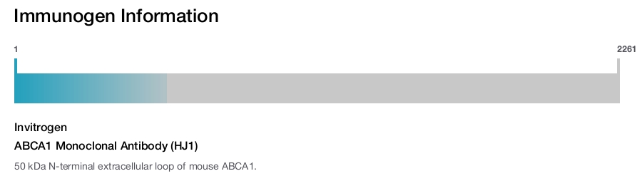 ABCA1 Monoclonal Antibody (HJ1)