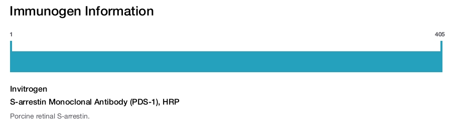 S-arrestin Monoclonal Antibody (PDS-1), HRP
