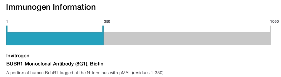 BUBR1 Monoclonal Antibody (8G1), Biotin