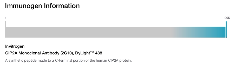 CIP2A Monoclonal Antibody (2G10), DyLight™ 488