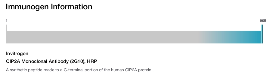 CIP2A Monoclonal Antibody (2G10), HRP