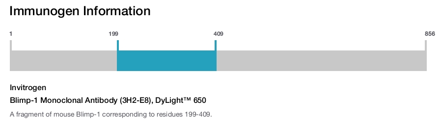 Blimp-1 Monoclonal Antibody (3H2-E8), DyLight™ 650