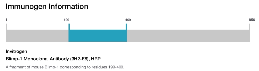 Blimp-1 Monoclonal Antibody (3H2-E8), HRP