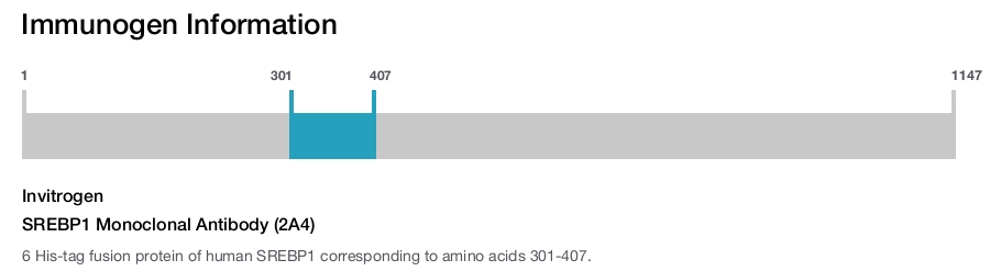 SREBP1 Monoclonal Antibody (2A4)