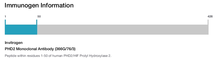 PHD2 Monoclonal Antibody (366G/76/3)
