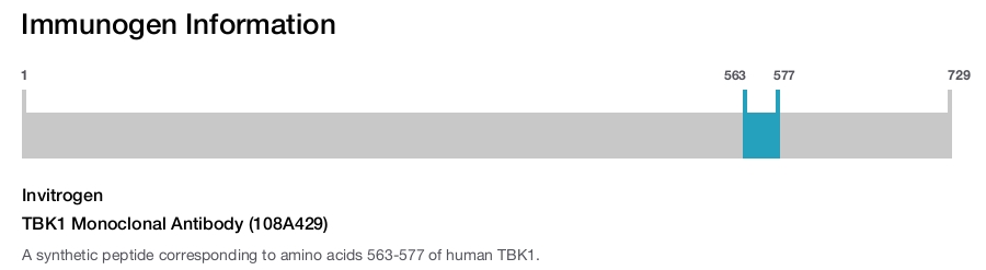TBK1 Monoclonal Antibody (108A429)