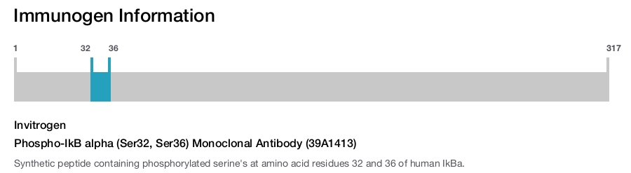 Phospho-IkB alpha (Ser32, Ser36) Monoclonal Antibody (39A1413)