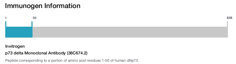 p73 delta Monoclonal Antibody (38C674.2)