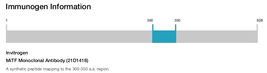MiTF Monoclonal Antibody (21D1418)