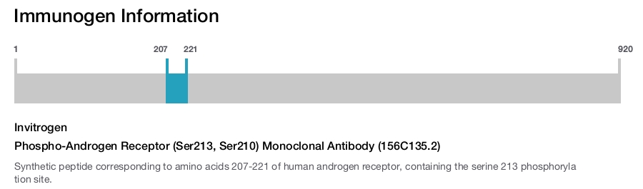 Phospho-Androgen Receptor (Ser213, Ser210) Monoclonal Antibody (156C135.2)
