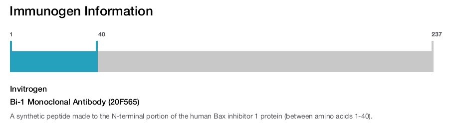 Bi-1 Monoclonal Antibody (20F565)