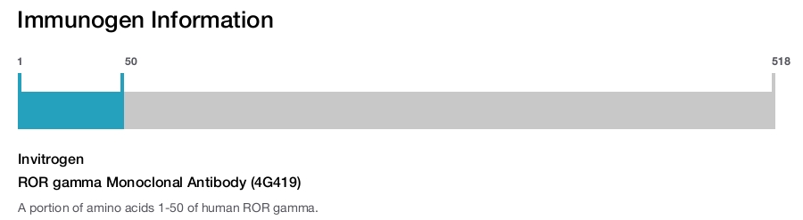 ROR gamma Monoclonal Antibody (4G419)
