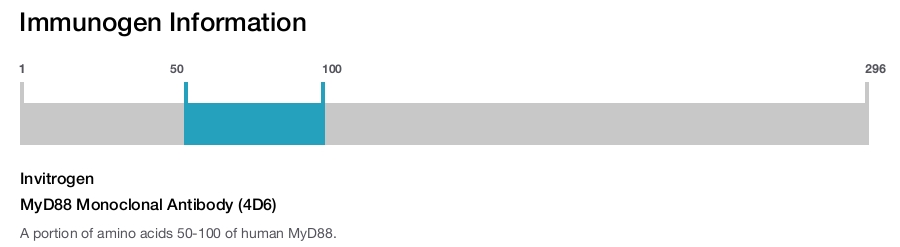 MyD88 Monoclonal Antibody (4D6)