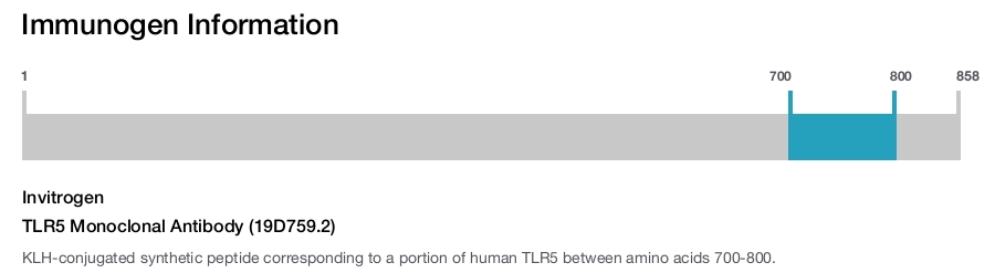 TLR5 Monoclonal Antibody (19D759.2)