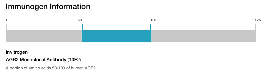AGR2 Monoclonal Antibody (10E2)