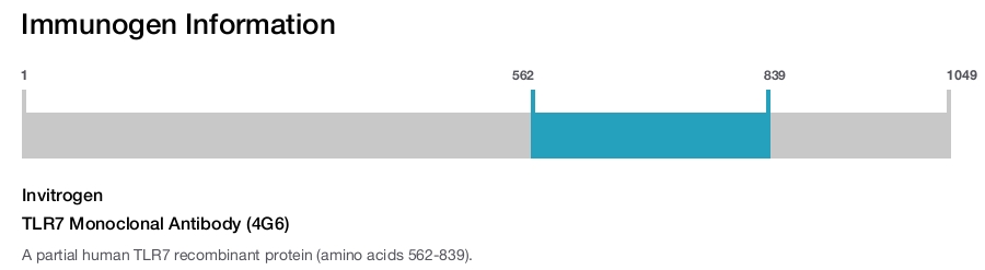 TLR7 Monoclonal Antibody (4G6)
