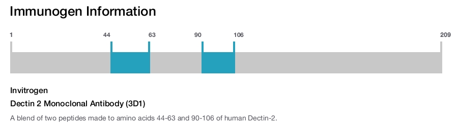 Dectin 2 Monoclonal Antibody (3D1)