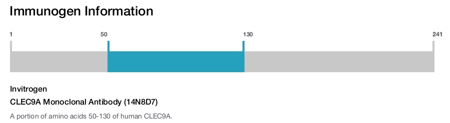 CLEC9A Monoclonal Antibody (14N8D7)