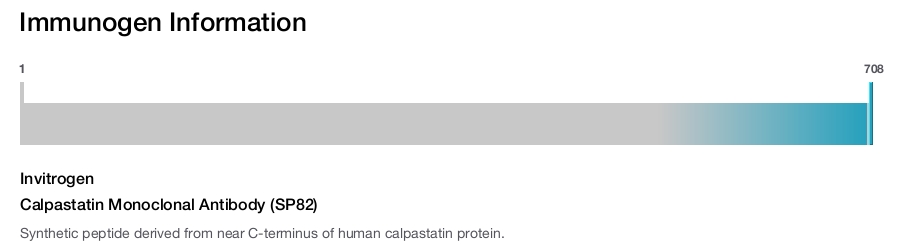 Calpastatin Monoclonal Antibody (SP82)