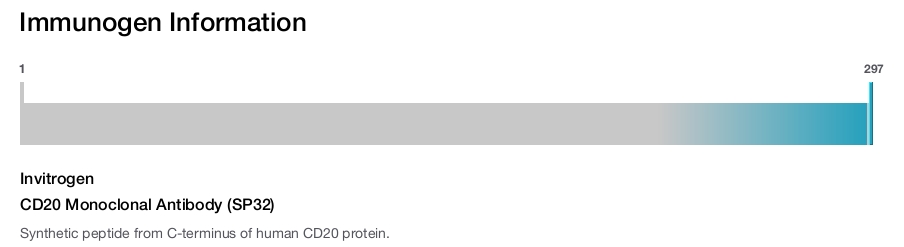 CD20 Monoclonal Antibody (SP32)