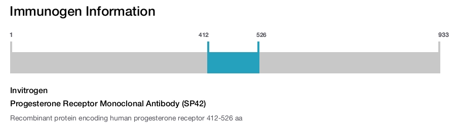 Progesterone Receptor Monoclonal Antibody (SP42)