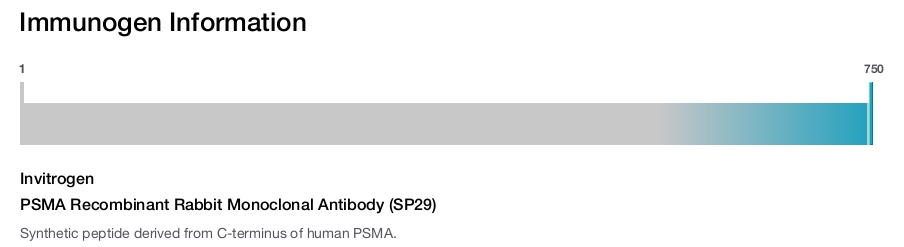 PSMA Recombinant Rabbit Monoclonal Antibody (SP29)