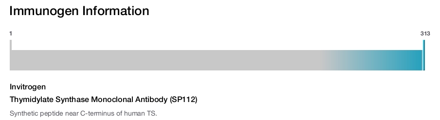 Thymidylate Synthase Monoclonal Antibody (SP112)
