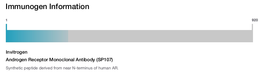 Androgen Receptor Monoclonal Antibody (SP107)