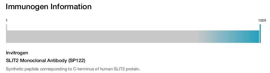 SLIT2 Monoclonal Antibody (SP122)