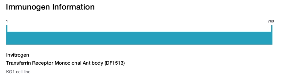 Transferrin Receptor Monoclonal Antibody (DF1513)