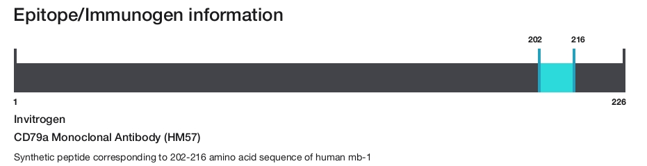 CD79a Monoclonal Antibody (HM57)