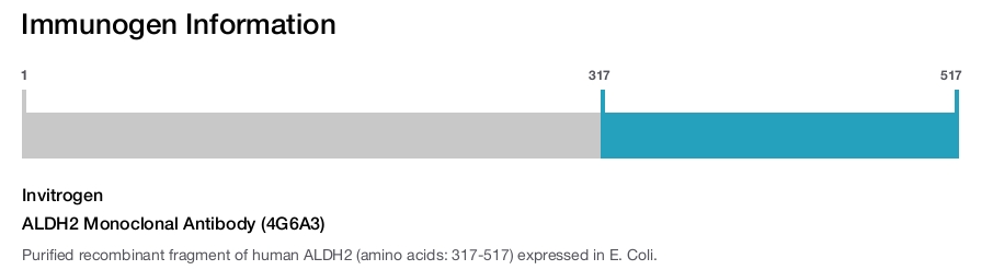 ALDH2 Monoclonal Antibody (4G6A3)