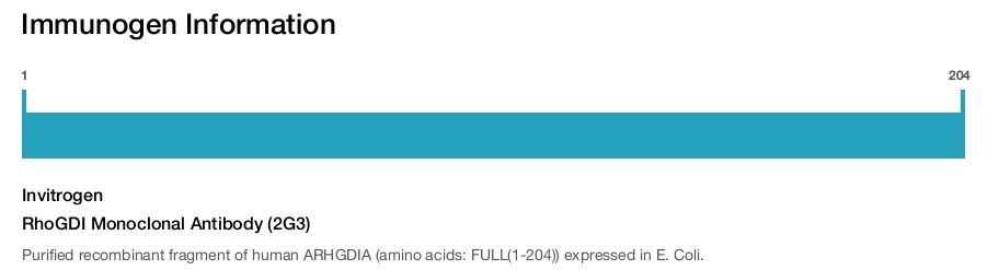 RhoGDI Monoclonal Antibody (2G3)