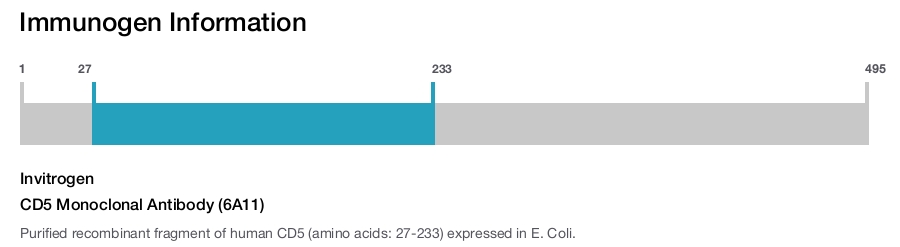 CD5 Monoclonal Antibody (6A11)