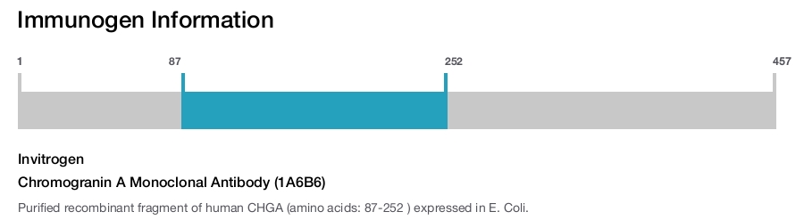 Chromogranin A Monoclonal Antibody (1A6B6)