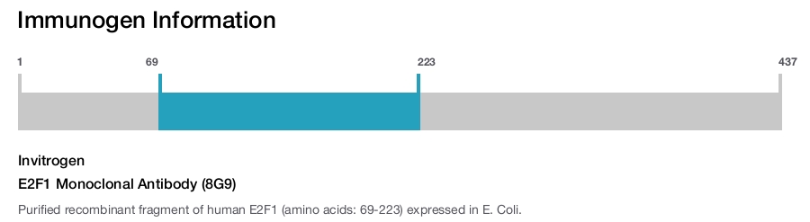 E2F1 Monoclonal Antibody (8G9)