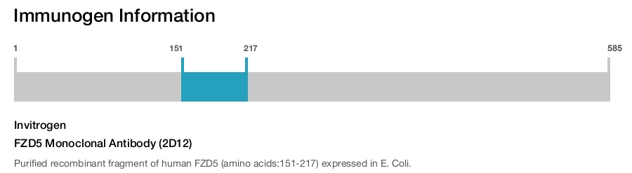 FZD5 Monoclonal Antibody (2D12)