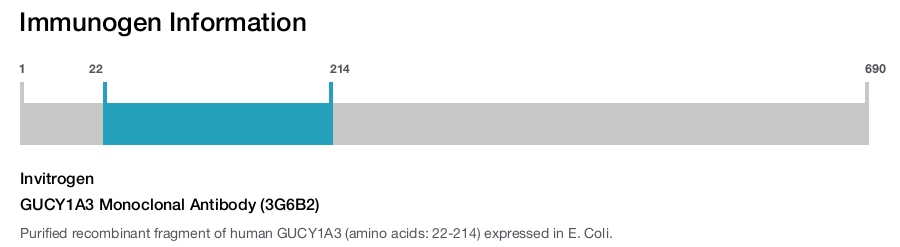 GUCY1A3 Monoclonal Antibody (3G6B2)
